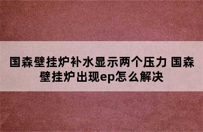 国森壁挂炉补水显示两个压力 国森壁挂炉出现ep怎么解决